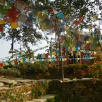 Photo taken by Greg C