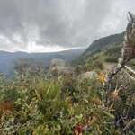 Photo taken by Carine D