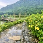 Photo taken by Mylan L