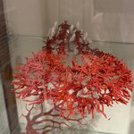 Photo taken by Shannon S