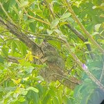 Photo taken by Darla D