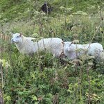 Photo taken by Lauren P