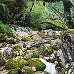 Photo taken by Kim R