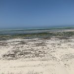 Photo taken by Kristin M