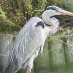 Photo taken by Ann B