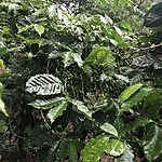 Photo taken by Michelle D