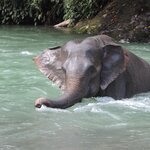 Photo taken by Matteo R