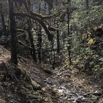 Photo taken by Ailson S