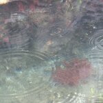 Photo taken by Lara N