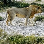 Photo taken by Peter L