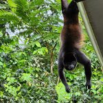 Photo taken by Tenley G