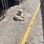 Photo taken by Kimberly A