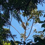 Photo taken by Jacob S