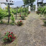 Photo taken by Jill B