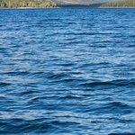 Photo taken by Jose R