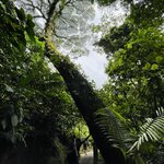 Photo taken by Kate R