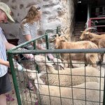 Photo taken by Cassidy J