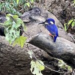 Photo taken by Rosemary S