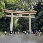 Photo taken by Traci H