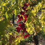 Photo taken by Charles H