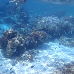 Photo taken by Dixie W