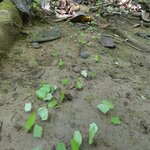 Photo taken by Brett F