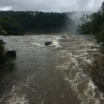 Photo taken by Cal H