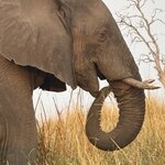 Photo taken by Paul B