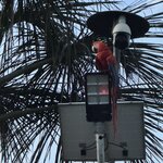 Photo taken by Emily F