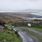 Photo taken by James K