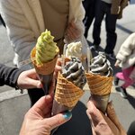 Photo taken by Sakura I