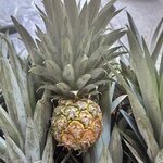 Photo taken by Lisa G