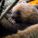 Photo taken by Wilbert A