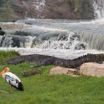 Photo taken by Inge van K