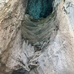 Photo taken by steve s