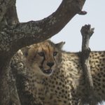 Photo taken by Kristin M