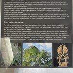 Photo taken by Ingenie D