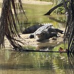 Photo taken by Kevin S