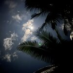 Photo taken by Victoria C