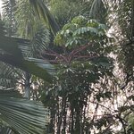 Photo taken by jean G