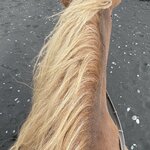 Photo taken by Tim Z