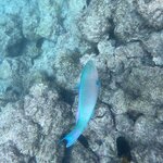 Photo taken by Lisa P