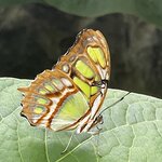 Photo taken by Martin L