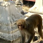 Photo taken by Victor R