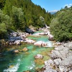 Photo taken by Janis R