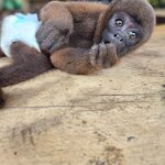 Photo taken by Lisa T