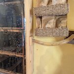 Photo taken by Stephanie J