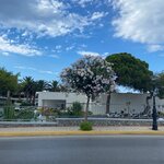 Photo taken by Braedon G