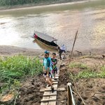 Swimming the Tambopata Riverbank | Photo taken by Elisa M