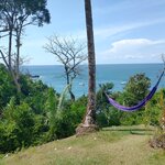 Photo taken by Gill P